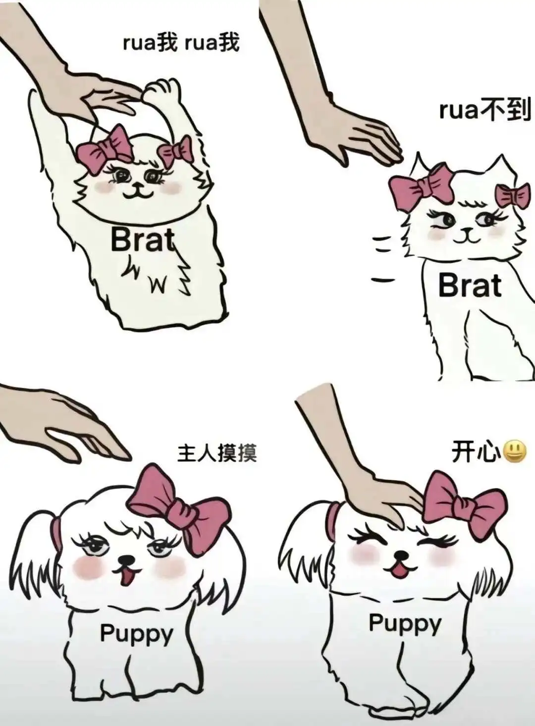 西檬之家-字母圈的SP实践指南