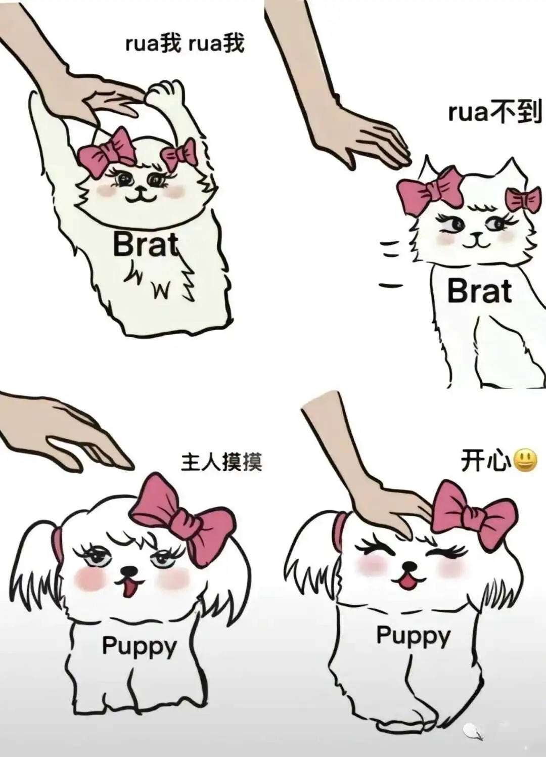 【西檬之家】恋足癖与BDSM：新人如何科学理解与入圈