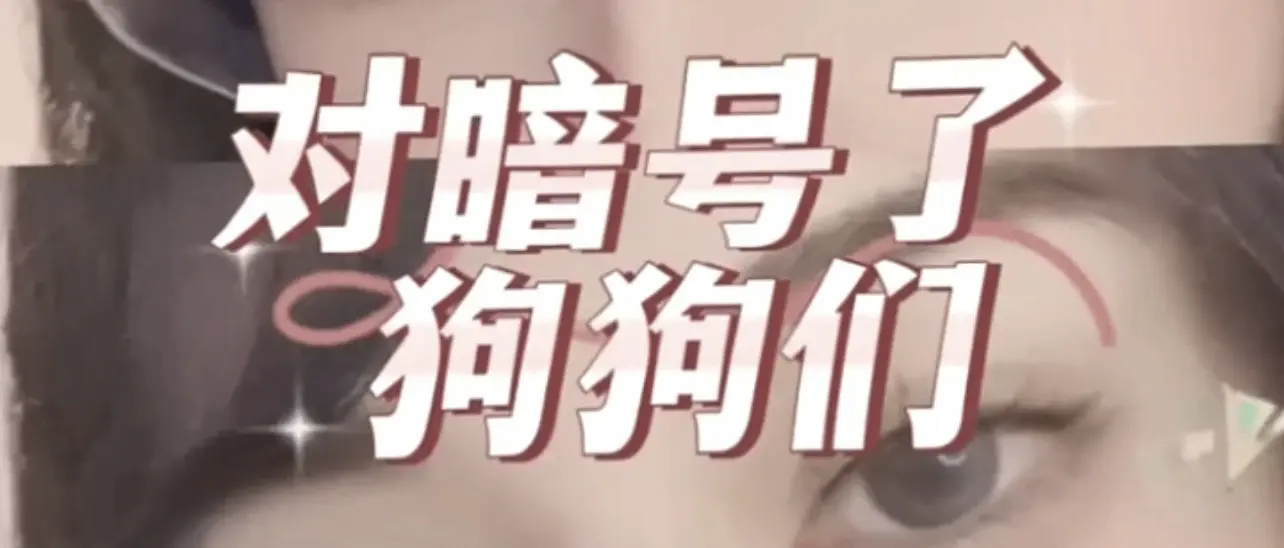 西檬之家-BDSM字母圈K8猫系是什么意思？