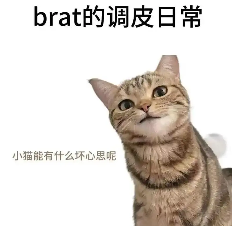 西檬之家-字母圈圣水是什么？BDSM安全指南