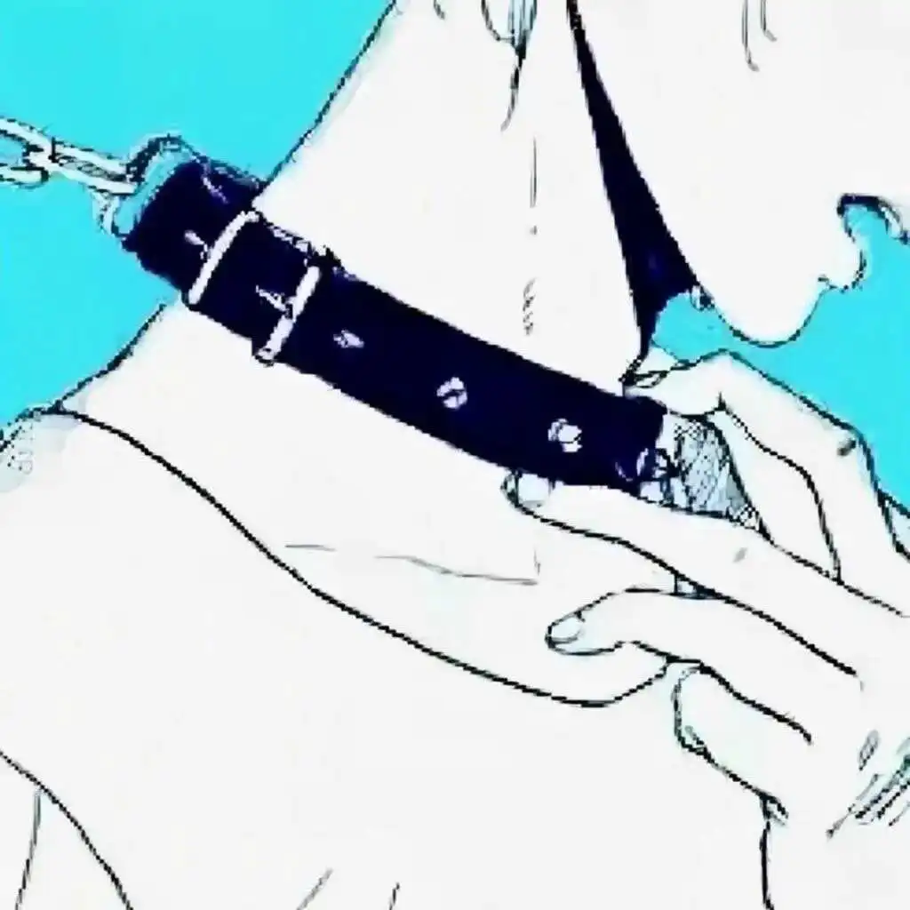 【西檬之家】新人大礼包：解锁字母圈的奥秘，从基础术语到安全共识