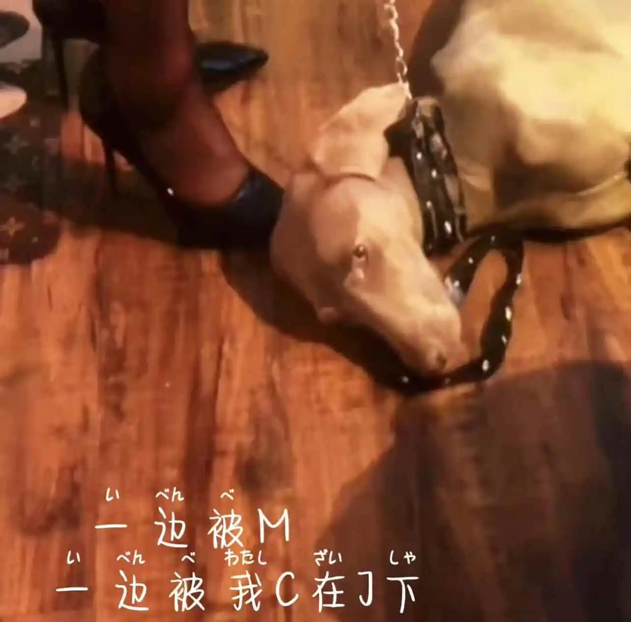 【西檬之家】字母圈DOM是什么意思？BDSM新人权威入圈指南