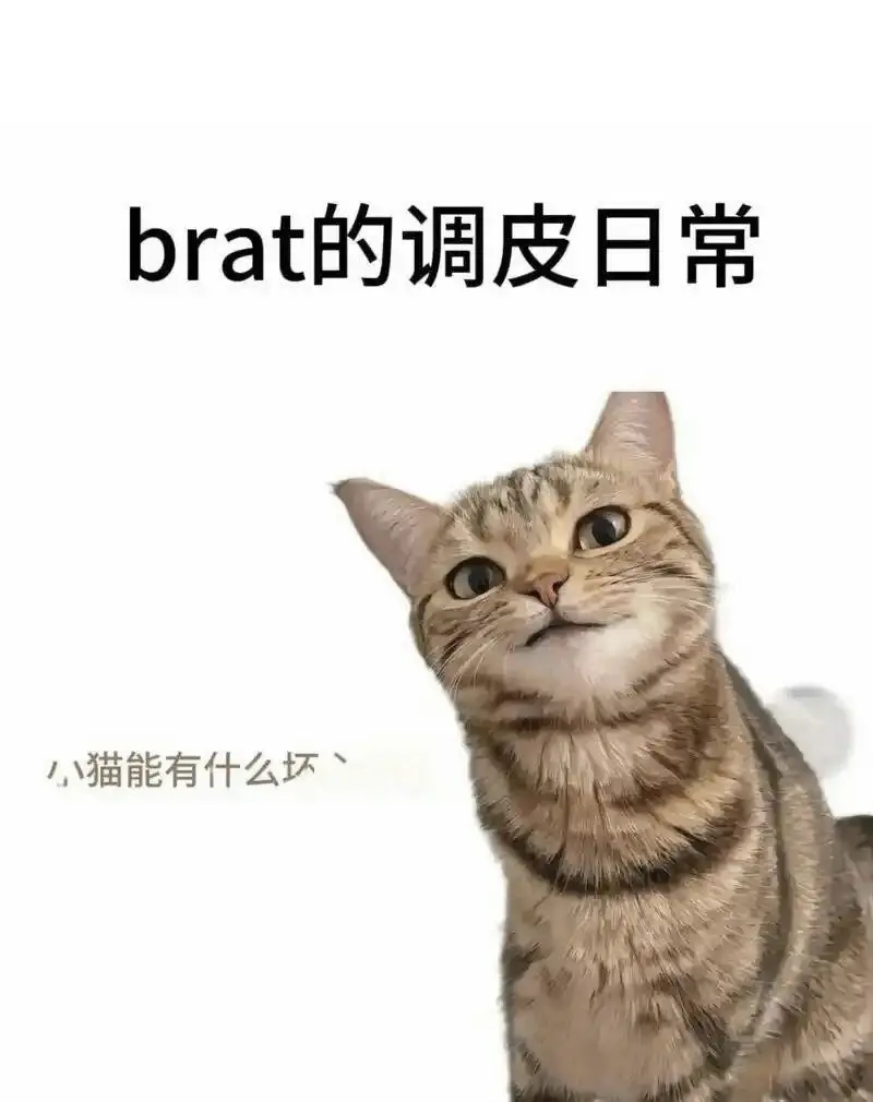 西檬之家-字母圈BDSM核心术语解析