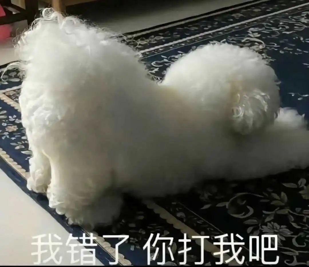 【西檬之家】字母圈的DOM是什么意思？