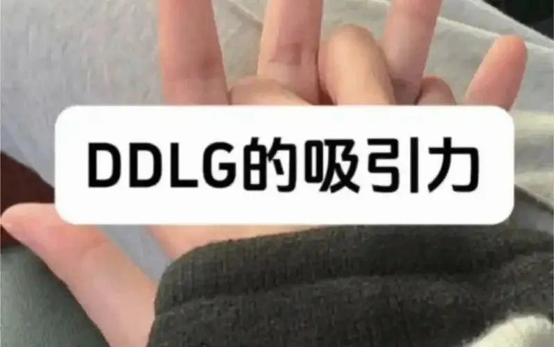 西檬之家-字母圈新人常见术语科普：K9是什么？
